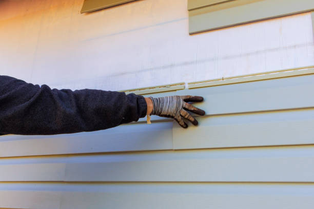 Best Stucco Siding  in Wacousta, MI